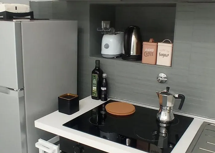 Confort Ed Eleganza A Porta Palazzo * Turín